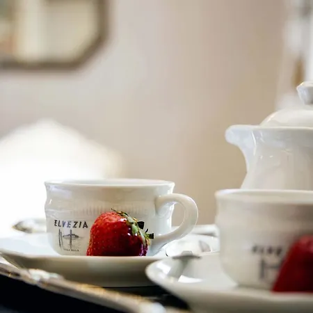 Hotel Boutique Elvezia
