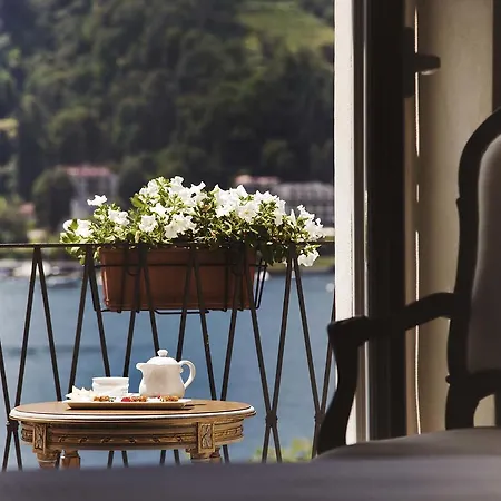 إلفيزيا البوتيكي